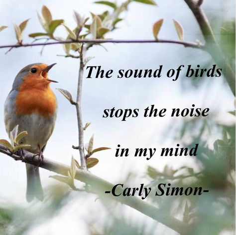 The sound of birds stops the noise in my mind Birds Chirping Quotes, Birds Quotes, Boarders Designs, Budha Art, Boarders Designs For Projects, Bird Quotes, Bird Calls, Aesthetic Captions, Soothing Quotes