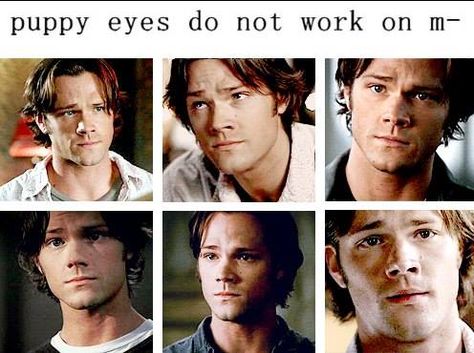 Nevermind: Puppy dog eyes always work on me, as long as they are Sam Winchester's. Or, y'know, Jared's lol Emmanuelle Vaugier, Spn Memes, Winchester Supernatural, Under Your Spell, Puppy Dog Eyes, Supernatural Sam, Supernatural Memes, Supernatural Dean, Supernatural Fans