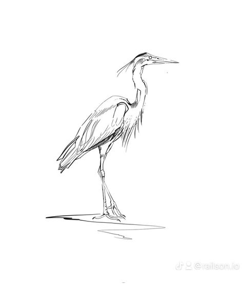 �“Unlock elegance with this exquisite heron tattoo! Each fine line stroke captures its grace perfectly. 🕊️✨#TattooArt #FineLineInk #ZurichVibes #ElegantExpression #NatureInspired #InkAddiction #HeronBeauty #UniqueTattoo #CreativeInk” White Heron Tattoo, Great Heron Tattoo, Heron Drawing Simple, Flying Crane Tattoo, Bird Fine Line Tattoo, Heron Sketch, Jacob Tattoo, Blue Heron Tattoo, Heron Drawing