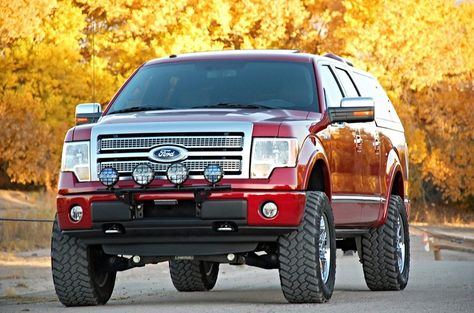 Desert Dawg's Custom 2011 Ford F150 Platinum SuperCrew 4X4 2013 F150, F150 Platinum, Ford F150 Fx4, 2011 Ford F150, Ford F150 Xlt, Ford Trucks F150, Camper Shells, 2014 Ford F150, Lifted Truck