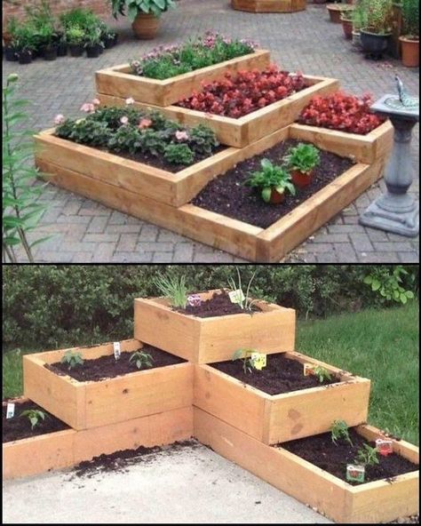 Tiered Garden Bed, Pallet Garden Box, Vegetable Garden Beds, Funny Vine, Pallet Projects Garden, Garden Boxes Raised, Tiered Garden, Diy Raised Garden, Raised Garden Beds Diy