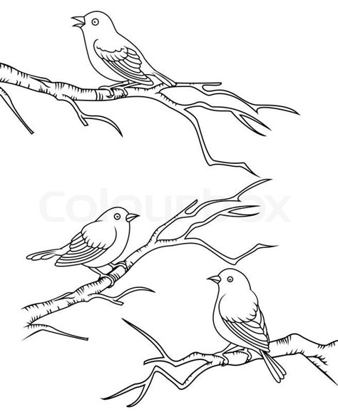 Birds On Tree Drawing, March Doodles, Greenhouse Logo, Bird Composition, Clip Art Drawings, Sitting Drawing, Bird Line Drawing, Bird Sitting On A Branch, Creation Coloring Pages