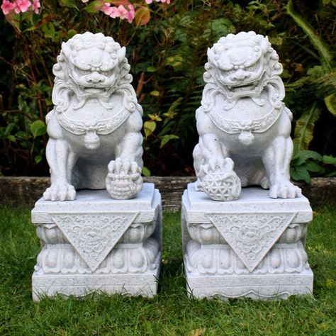 Japanese Foo Dog, Foo Dog Tattoo Design, Dog Garden Statues, Foo Dog Tattoo, Foo Dog Statue, Guardian Lion, Bird Types, Stone Lion, Foo Dogs