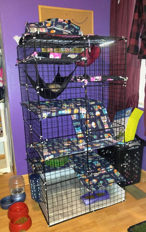 C&C ferret cage Custom Ferret Cage, Diy Ferret Cage Homemade, Ferret Nation Cage Ideas, Ferret Cage Ideas Homemade, Ferret Cage Ideas Diy, Ferret Room Ideas, Ferret Cage Ideas, Ferret Enclosure, Sugar Glider Habitat