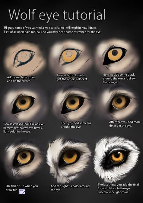 Wolf Eye Drawing, Eyes Tutorial, Wolf Sketch, Realistic Eye Drawing, Wolf Eyes, Wolf Painting, Wolf Face, Drawing Eyes, Wolf Drawing