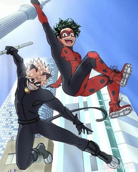 Cat Noir And Ladybug, My Hero Academy, Cat Noir, Boku No Hero Academia, Boku No Hero, Crossover, My Hero Academia, Hero Academia, My Hero