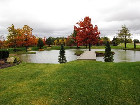 Pond With Island In Middle, Pond With Island, Farm Pond, Building A Pond, Home Decor Wallpaper, Diy Pond, Fountains Backyard, Pond Landscaping, Backyard Water Feature