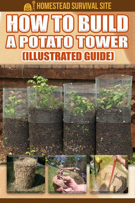 Potato Tower, Potato Gardening, Potato Planters, Grow Potatoes, Grow Garden, Tattoo Plant, Brown Hairstyles, Planting Potatoes, Gardening Vegetables