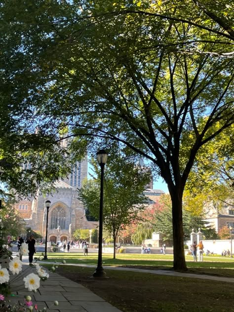 Yale University Aesthetic Campus, Yale University Dorms, Yale University Aesthetic, Yale Aesthetic, Campus Dorm, College Abroad, Aesthetic Library, Harvard Yale, College Apps