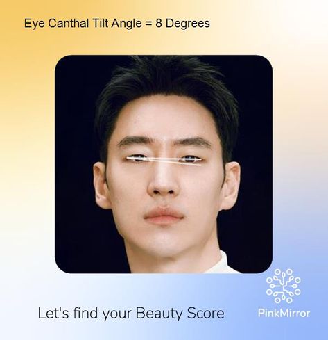 "Discover the Mesmerizing Eye Canthal Tilt of Korean Heartthrob Lee Je Hoon from Taxi Driver!" #leejehoon #taxidriver #pinkmirror #beautytips Canthal Tilt, Face Analysis, Small Nose, Facial Aesthetics, Tilt Angle, Lower Lip, Celebrity Faces, Full Lips, Oval Face Shapes