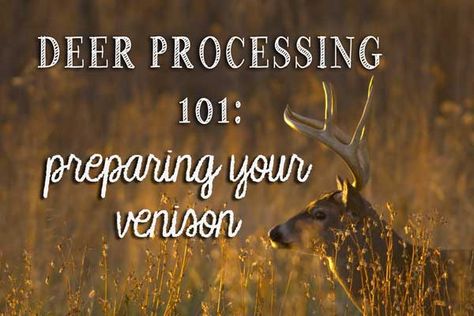 Deer Butchering, Deer Processing, Venison Meat, Roast Chicken And Gravy, Deer Hunting Tips, Survival Ideas, Pioneer Life, Deer Meat Recipes, Deer Meat