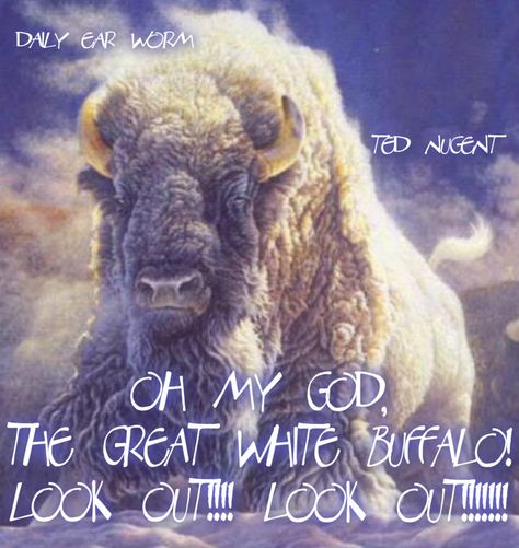 Great White Buffalo - Ted Nugent Buffalo Pictures, Buffalo Animal, Bison Art, Buffalo Art, Buffalo Bison, Animal Spirit Guides, Albino Animals, Native American Artwork, American Bison