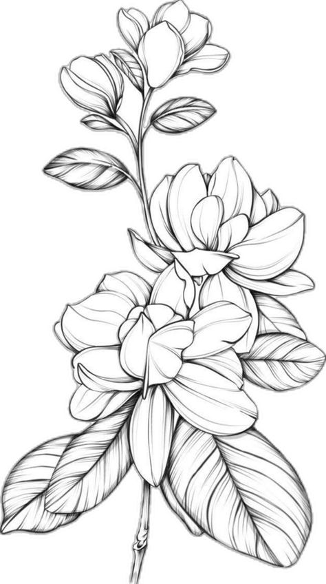 Sampaguita Tattoo, Sampaguita Flower, Gardenia Tattoo, Flower Tattoo Drawings, Tatoo Inspiration, Filipino Art, Beautiful Flower Tattoos, Secondary Logo, Bee Tattoo