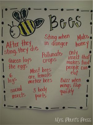 Bees Kindergarten, Bees Facts, Insects Activities, Gold Science, Kindergarten Poetry, Insect Study, Insect Unit, Insects Preschool, Bugs Preschool