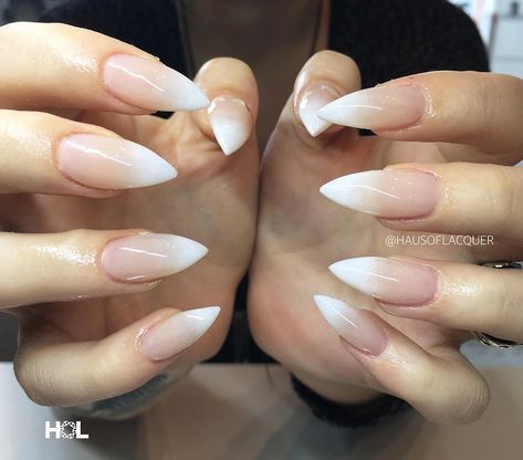 S T E P H ♕ V A N C O U V E R on Instagram: “Class.  Nails done at @crownthequeens #BESTin604 #yournailtechaintdoingyouright #nails #nail #nailart #ombre #fashion #beauty” Ombré White Nails, Diy Balayage, Stilleto Nails Designs, Stiletto Nails Short, Ombre Nails Glitter, Claw Nails, Pointed Nails, Ombre Fashion, E Tattoo