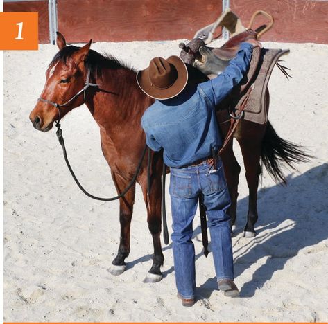 Learn the mindful, watch-and-pause method Warwick Schiller uses when saddling a nervous horse—or any horse. Warwick Schiller, Natural Horsemanship Training, Endurance Riding, Riding Tips, Horse Riding Tips, Natural Horsemanship, Horse Riding Clothes, Horse Training Tips, Oil Painting Tutorial