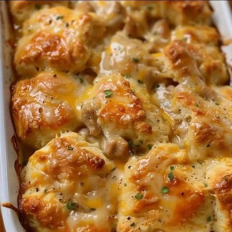 Stanley Tucci recipes | "My grandma has been making this for as long as I can remember | Facebook Biscuit Casserole, Chicken Biscuit, Biscuits Casserole, Chicken And Biscuits, Best Casseroles, Chicken Casseroles, Biscuit Bake, Baked Casserole, Grandmas Recipes