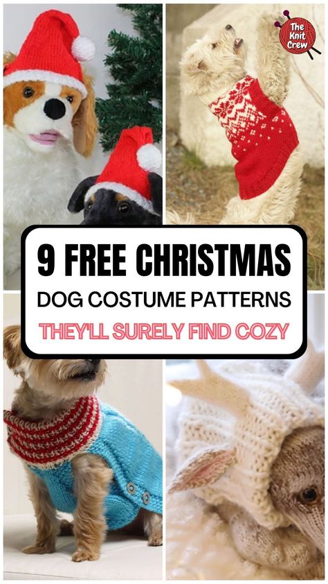 With these knitting patterns for Christmas dog outfits, your pup will stay warm and comfy while spreading holiday cheer! Check out the curated collection of these knitted dog costumes on The Knit Crew. Free Knitting Pattern For Dog Hat, Dog Christmas Costumes Diy, Christmas Crochet For Dogs, Dog Hat Knitting Pattern, Free Dog Sweater Patterns, Knitting Patterns For Christmas, Christmas Costumes Diy, Diy Pet Costumes, Christmas Dog Hat