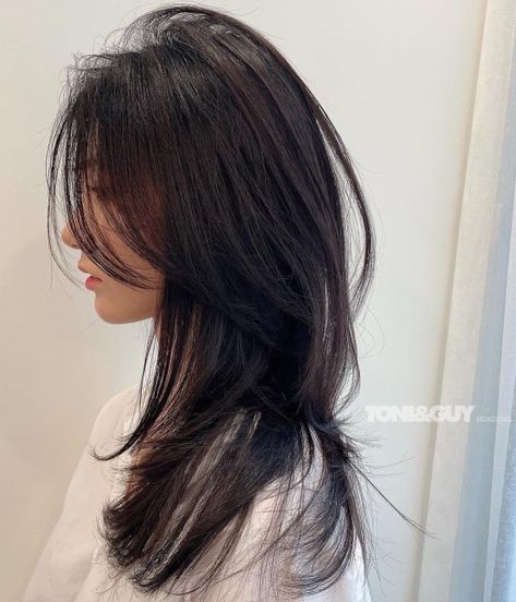 Korean Wolf Cut with Messy Layers Korean Wolf Cut, Longer Layers, Asian Long Hair, Korean Haircut, Asian Haircut, Hair Inspiration Long, Asian Short Hair, Long Layered Haircuts, Wolf Cut