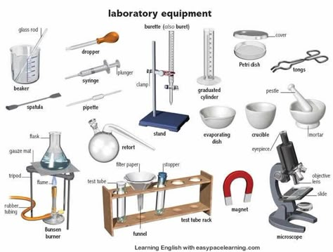 Learning the English words for laboratory equipment and their parts Botanist Lab, Science Lab Tools, Chemistry Lab Equipment, Picture Vocabulary, Home Lab, Science Equipment, Chemistry Classroom, Lab Safety, Biology Labs