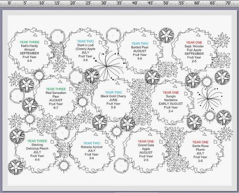 Orchard Layout Design, Small Orchard Layout, Orchard Layout, Small Orchard, Home Orchard, Orchard Design, Food Forest Garden, Orchard Garden, Farm Plans