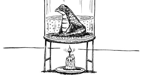 Systems thinkers have given us a useful metaphor for a certain kind of human behavior in the phenomenon of the boiled frog.  The phenomenon is this. If you drop a frog in a pot of boiling water... Boiling Frog, Water Tattoo, Frog Tattoos, Illustration Styles, A Frog, Black Ink Tattoos, Animal Games, Human Behavior, Boiling Water