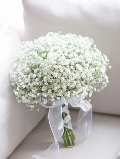 Small Wedding Bouquets, Gypsophila Wedding, Simple Wedding Bouquets, Bridal Bouquet Flowers, Photos Poses, Hand Bouquet, Bride Flowers, Beautiful Bouquet Of Flowers, Baby's Breath