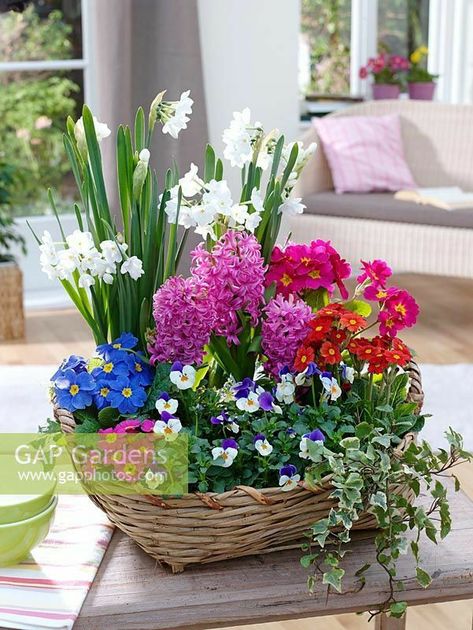 Dekoratívne Vence, First Signs Of Spring, Spring Planter, Easter Flower Arrangements, Spring Flower Arrangements, Easter Flower, Signs Of Spring, Container Gardening Flowers, Flower Pots Outdoor