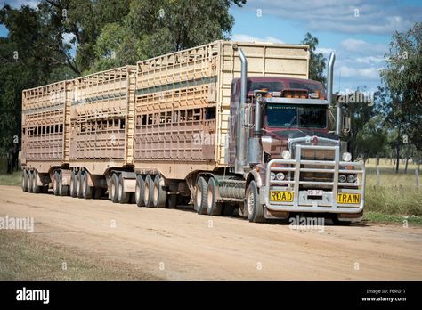 Cattle truck australia hi-res stock photography and images - Alamy Cattle Trailers, Cattle Trucks, Australian Kelpie Dog, Beef Farming, Farm Wagons, Australian Kelpie, Wilderness Camping, Ranch Farm, Outback Australia