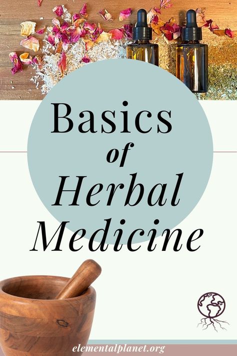 Learn about the different types of herbal preparations and how to use them. A perfect resource for beginner herbalists! Herbalism Basics, Certified Herbalist, Homesteading Goals, Beginner Herbalist, Herbal Preparations, Herbalism For Beginners, Herbal Tea Garden, Herbal Education, At Home Recipes