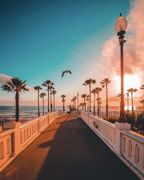 San Diego Wallpaper, San Diego Travel, Earth Pictures, Preppy Wallpaper, California Dreamin', Island Vibes, California Coast, Wallpaper Pictures, Best Memories