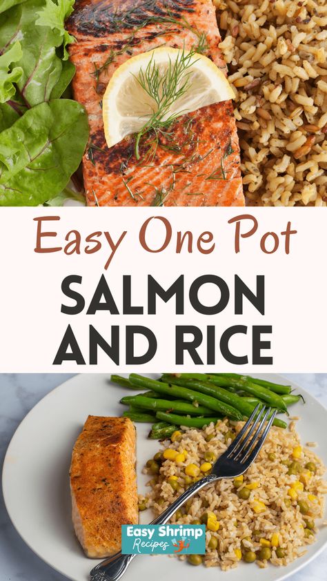 One pot Salmon And Rice Brown Rice And Salmon, Fish And Rice Recipes, Salmon And Rice Recipes, One Pot Salmon, Salmon Recipe Ideas, Salmon Salads, Healthy Salmon Dinner, Salmon Dinner Ideas, Creamy Pasta Bake