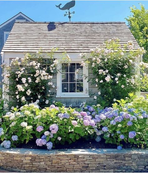 Have Inspiration, Garden Cottage, Country Gardening, English Garden, Front Garden, Dream Garden, Yard Landscaping, Garden Planning, Front Yard Landscaping