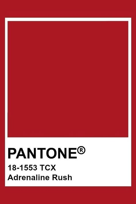 Pantone Color Aesthetic, Red Aesthetic Color Palette, Pantone Red Color Palettes, Red Colour Pantone, Red Pantone Colour Palettes, Red Color Swatch, Adrenaline Rush Aesthetic, Pantone Colors Red, Red Colour Aesthetic