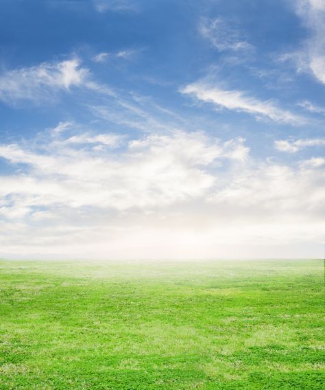 Fresh grass with sky background Free Photo Sky Photoshop, Photoshop Landscape, Green Grass Background, Grass Background, Nature Background Images, Sky Images, Beginner Photo Editing, Background Images For Editing, Love Background Images