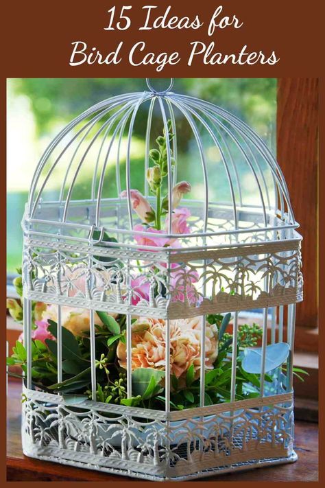 Bird Cage Flower Planter, Bird Cage With Flowers, Ideas For Bird Cages, Decorating Birdcages Ideas, Wire Bird Cage Decor Ideas, Small Bird Cage Decor Ideas, Decorative Birdcages Ideas, How To Decorate A Bird Cage, Bird Cage Decor Ideas Indoor