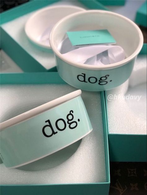 Tiffany Dog Collar, Luxury Dog Bowls, Pink Penthouse, Planning Future, Tiffany Gifts, Pet Market, Dog Mommy, Puppy Accessories, Pampered Pooch