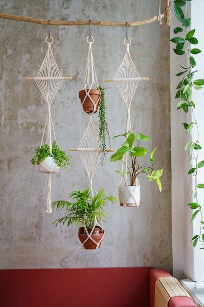 Handmade cotton macrame plants hanger ha... | Premium Photo #Freepik #photo #house-plant #plant-wall #wall-hanging #potted-plants Art Macramé, Macrame Plant Hanger Tutorial, Macrame Plant Hanger Patterns, Macrame Hanging Planter, Diy Macrame Plant Hanger, Support Plante, Macrame Plant Holder, Macrame Hanger, Macrame Wall Art