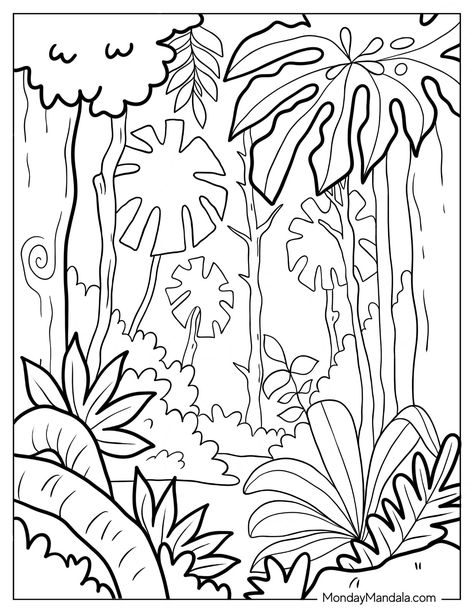 20 Jungle Coloring Pages (Free PDF Printables) Rain Forest Drawing Easy, Rainforest Coloring Pages Free Printable, Jungle Coloring Pages Free Printable, Brazil Coloring Pages, Jungle Scene Drawing, Jungle Leaves Drawing, Jungle Drawing Easy, Rainforest Coloring Pages, Jungle Drawings