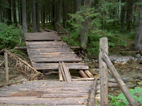 Log bridge - Wikipedia Woods Hangout Spot, Rc Crawler Course, Log Bridge, Hangout Spot, Rail Car, Bridge Design, Wood Bridge, Rustic Cabin, Open Space