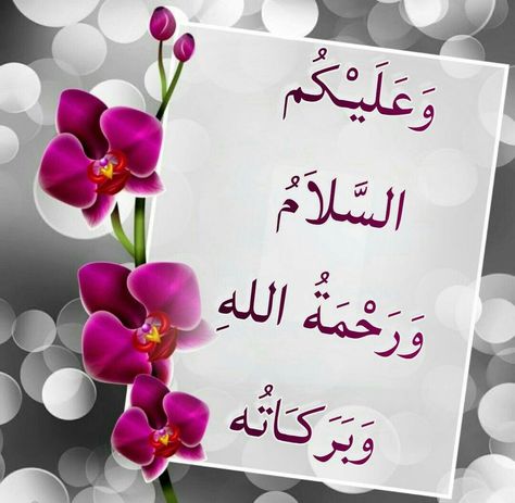 Walaikum Assalam, Quotes For Dp, Images Jumma Mubarak, Muslim Greeting, Good Day Messages, Jumma Mubarak Images, Morning Prayer Quotes, Assalamualaikum Image, Good Morning Flowers Quotes