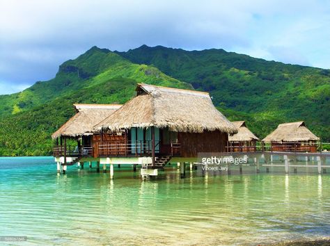 Polynesian house on stilts in moorea island. Tahiti Honeymoon, Moorea Island, French Polynesian Islands, Stilt Houses, Air Tahiti, Tahiti French Polynesia, Polynesian Islands, House On Stilts, Island House