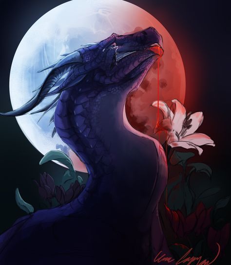 Darkstalker Fanart, Wings Of Fire Darkstalker, Sketch Pages, Got Dragons, Wings Of Fire Dragons, Water Dragon, Dragon Decor, Fire Art, Dragon Pictures