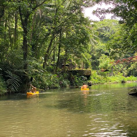 Nature’s playground for the cute at heart 🪵🍃😋 Cute Playground, Inner World, Travel, Nature