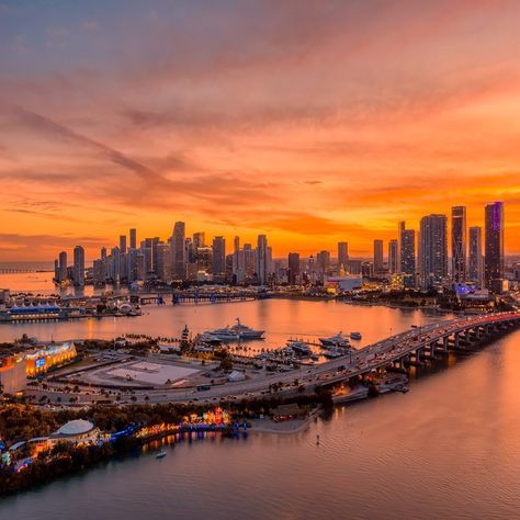 Coast Aesthetic, Miami Sunset, Miami Skyline, Miami City, Miami Travel, Silver Swan, Florida City, Staffing Agency, Downtown Miami