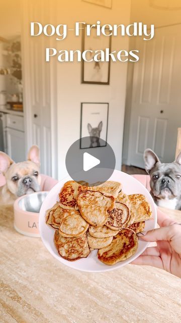 Lavender Bean and Latte Marie on Instagram: "Awhile back we asked you what we should be making with our new skillet and we decided on dog pancakes! 🥞 This is such a simple recipe: ½ cup almond milk (we make our own with no sweeteners or additives ½ tsp of cinnamon 2 cups oats 2 bananas 🥞🥞🥞 #lavenderandlatte #frenchiesofinstagram #dogfriendlyrecipe" Dog Pancakes Recipes, Dog Pancakes, Easy Treats, Simple Recipe, Almond Milk, 2 Cups, Dog Treats, Skillet, Bananas