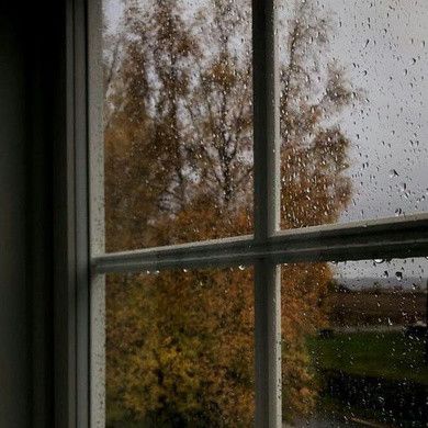 Studera Motivation, Fall Mood Board, Season Of The Witch, Window View, Academia Aesthetic, Best Seasons, Fall Pictures, We Fall In Love, Autumn Cozy