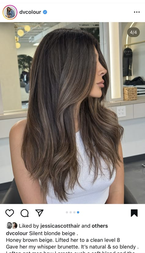 Natural Dark Brunette Hair, Rich Brunette Highlights, Honey Brown On Black Hair, Dark Brown Ash Highlights, Dark Brown Hair Pale Skin Brown Eyes, Light Brown Ends On Dark Hair, Dark Sunkissed Hair, Reverse Balayage Brunette Dark Brown, Lowlights For Brunettes Dark