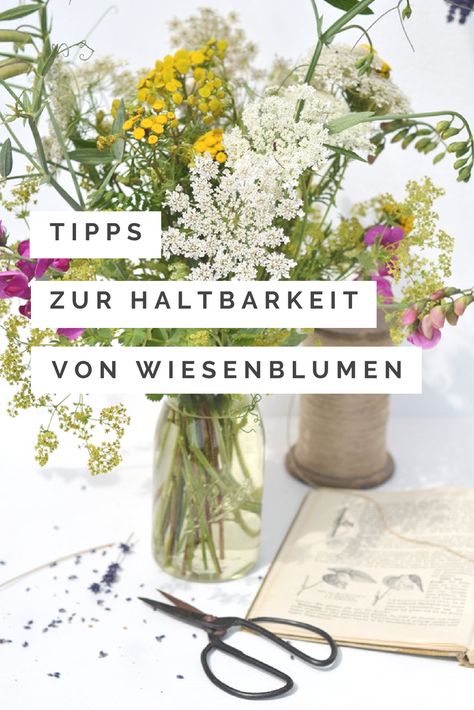 Wie du deine gepflückten Blumen von der Wiese sicher nach Hause bringst und lange Freude an ihnen hast Seaside Cottage, Green Garden, Window Sill, Garden Inspiration, Glass Vase, Vase, Flowers, Green