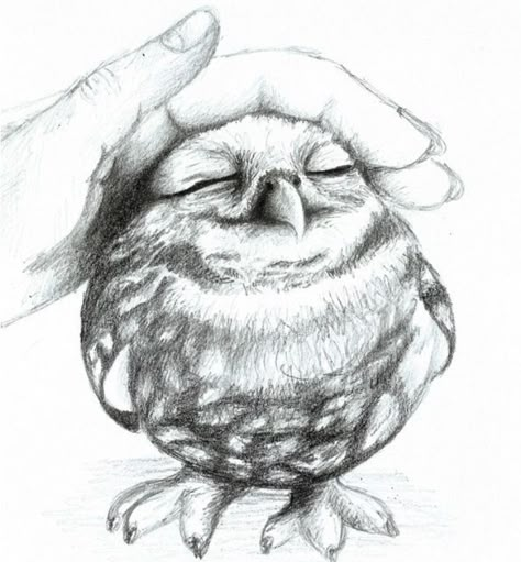 Cute owl drawing Owl Sketch, Beautiful Pencil Drawings, Arte Indie, Best Pencil, Pencil Sketch Drawing, Owls Drawing, Arte Sketchbook, Architectural Drawing, Fan Art Drawing